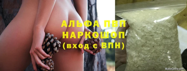 ГАЛЛЮЦИНОГЕННЫЕ ГРИБЫ Арсеньев