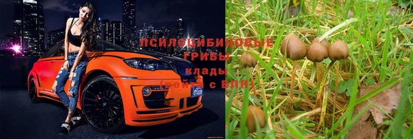 ГАЛЛЮЦИНОГЕННЫЕ ГРИБЫ Арсеньев