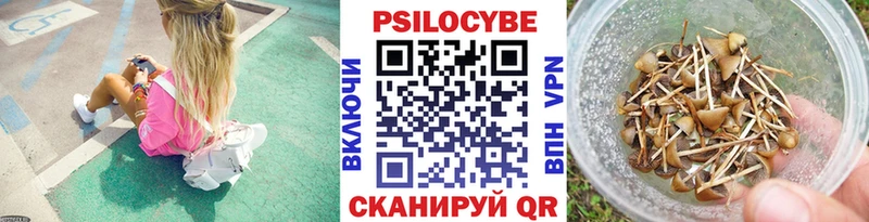 Псилоцибиновые грибы Psilocybe  Нягань 